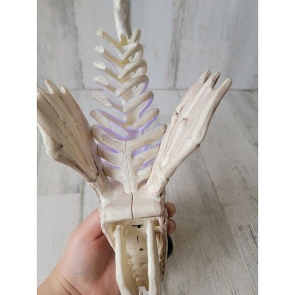 Anglerfish light up scary deep sea Halloween fish prop decor unique - Picture 9 of 12